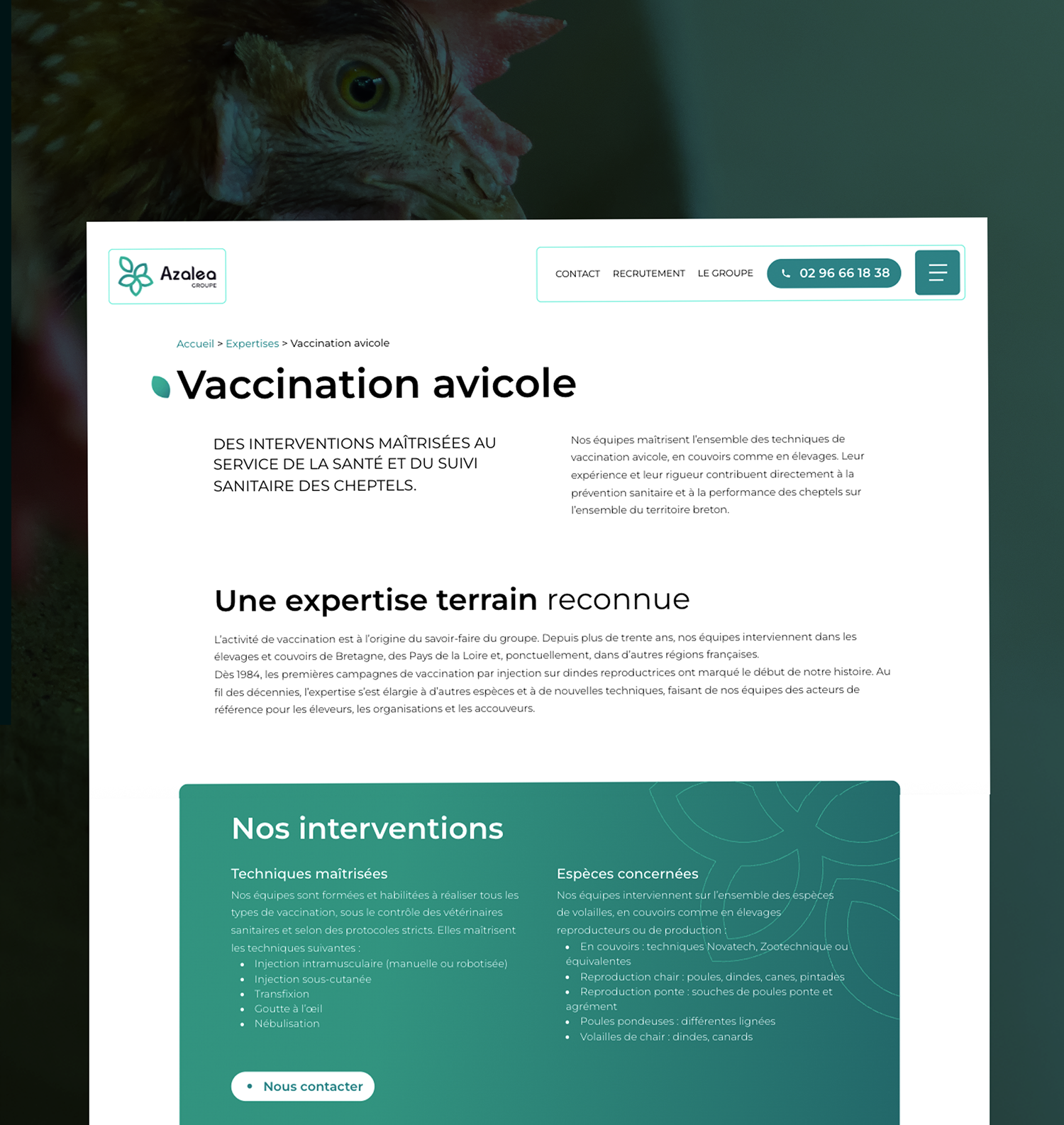 Agence web à Vannes creation site internet agriculture - azelty agence stratégie digitale