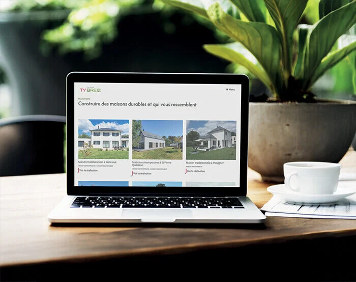 Ty_Breiz_Paysage_ordi