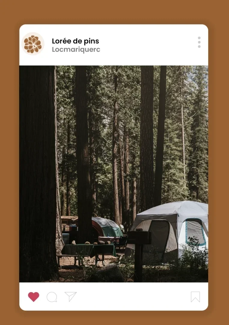 social ads community management reseaux sociaux vannes agence web azelty 2