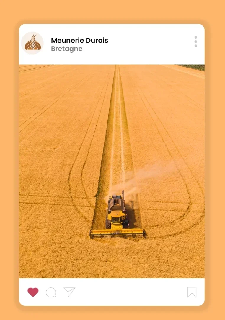 social ads community management reseaux sociaux vannes agence web azelty 3