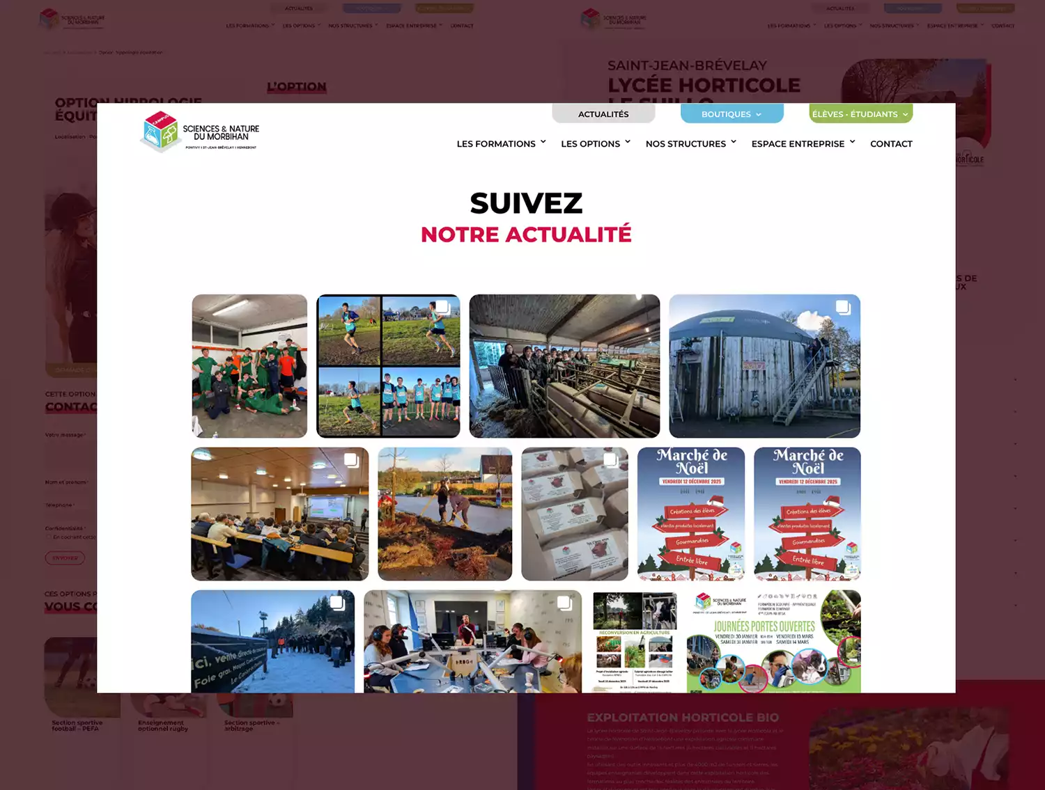 Agence web à Vannes Azelty création site internet apprentissage agricole