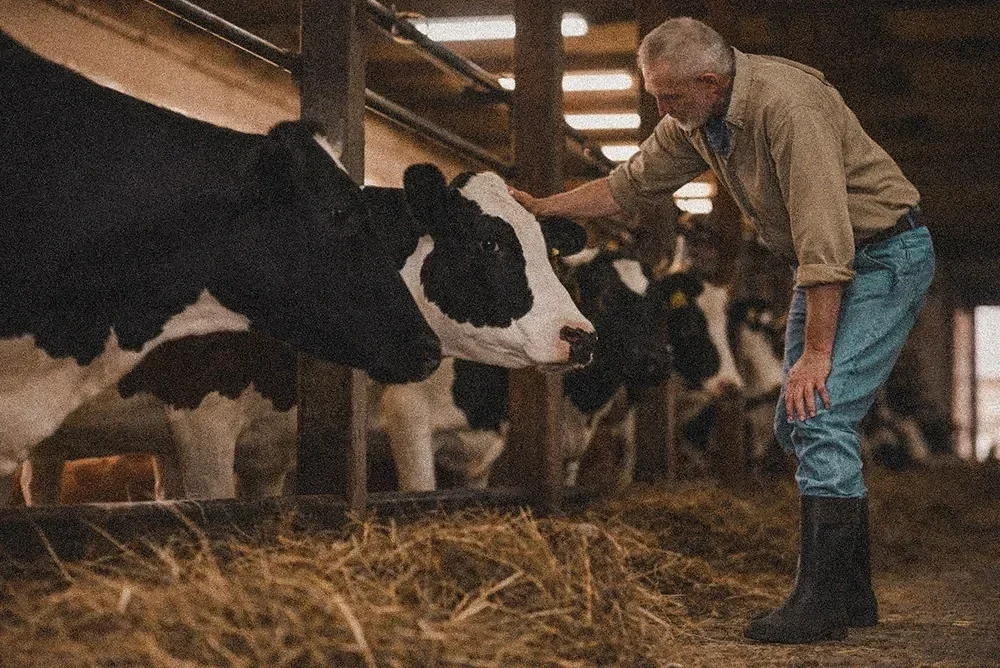 agence web vannes azelty agriculture section engagement