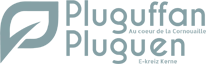 Pluguffan
